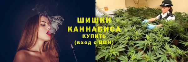 кристаллы Дмитриев