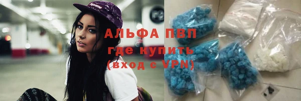 PSILOCYBIN Дмитровск