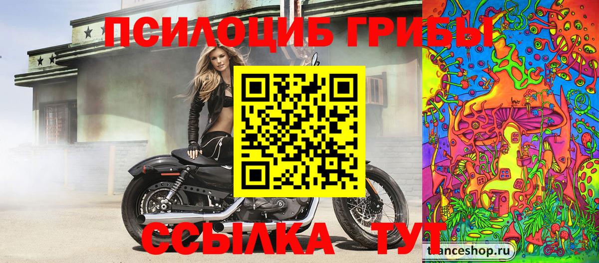 Галлюциногенные грибы Psilocybe Реж