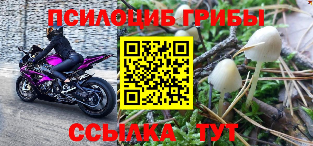 Галлюциногенные грибы MAGIC MUSHROOMS  Вход с VPN  Реж 